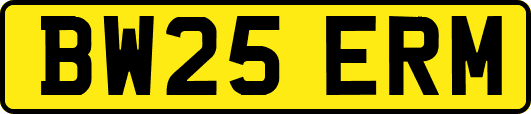 BW25ERM