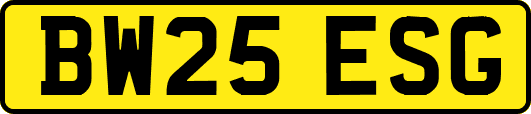 BW25ESG