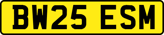 BW25ESM