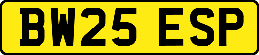 BW25ESP