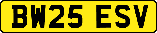 BW25ESV