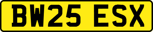 BW25ESX
