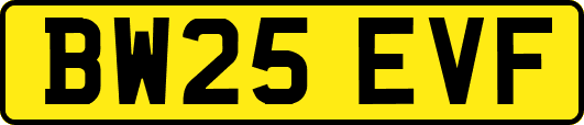 BW25EVF