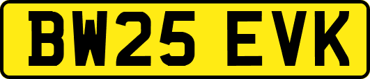 BW25EVK