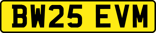 BW25EVM