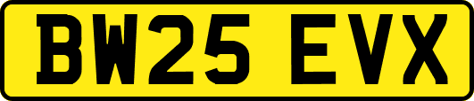 BW25EVX