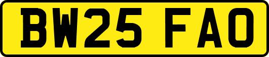 BW25FAO