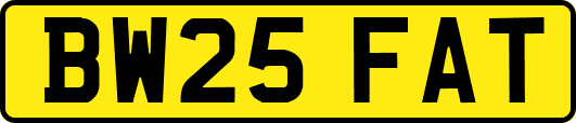 BW25FAT