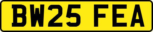 BW25FEA