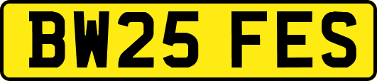BW25FES