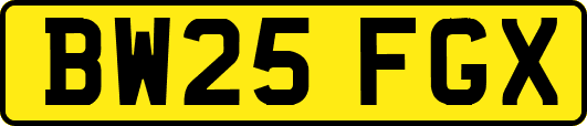 BW25FGX
