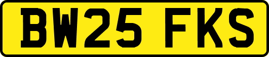 BW25FKS