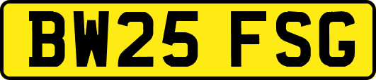 BW25FSG