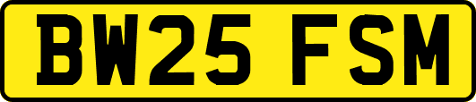BW25FSM
