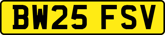 BW25FSV