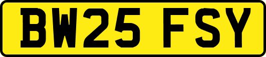BW25FSY