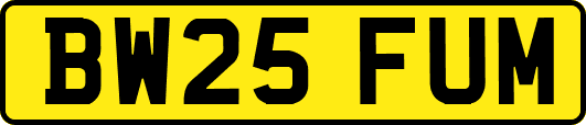 BW25FUM