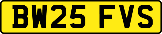 BW25FVS