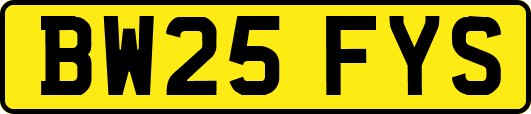 BW25FYS