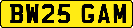 BW25GAM