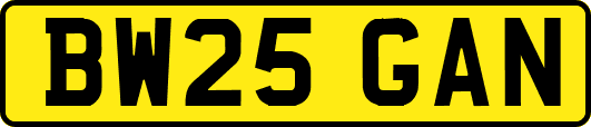 BW25GAN