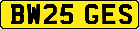 BW25GES