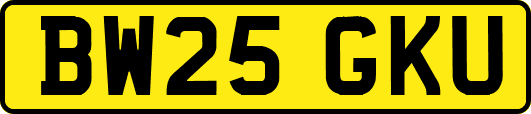 BW25GKU