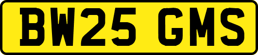 BW25GMS