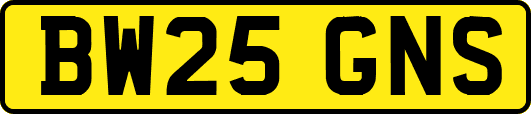 BW25GNS
