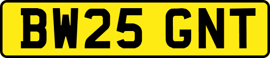BW25GNT