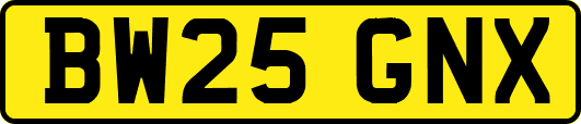BW25GNX