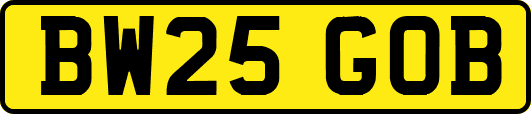 BW25GOB