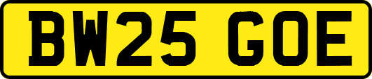 BW25GOE