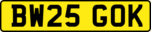 BW25GOK