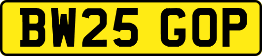 BW25GOP