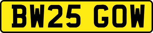 BW25GOW