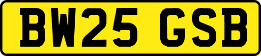 BW25GSB