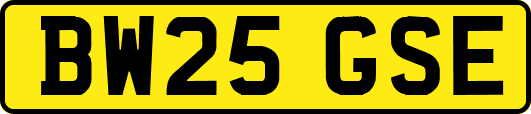BW25GSE