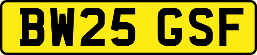 BW25GSF