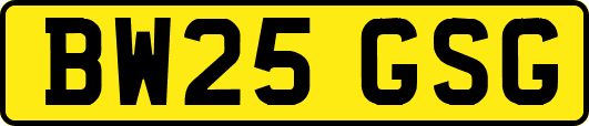 BW25GSG