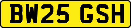 BW25GSH