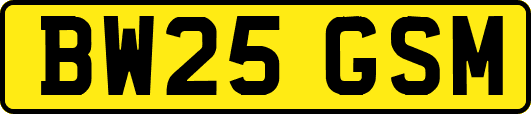 BW25GSM