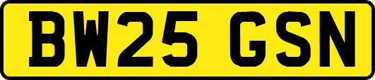 BW25GSN