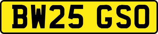 BW25GSO