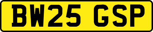 BW25GSP