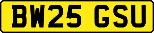 BW25GSU