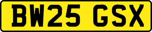 BW25GSX