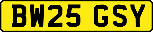 BW25GSY