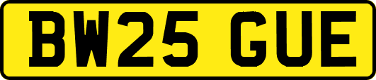 BW25GUE