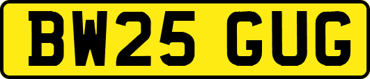 BW25GUG